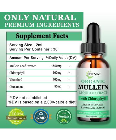 Mullein Drops for Lungs - Immune Support Detox & Respiratory Aid | Non-GMO Gluten-Free 2 Fl Oz - Buy Online on GoSupps.com