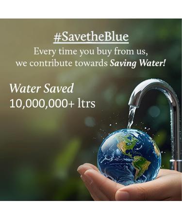 Blue Nectar Gold Swaran Bhasam Face Wash for Glowing Skin | Ayurvedic Gentle Cleanser for Oily & Dry Skin | Gold face wash for woman & Men (10 Herbs 3.38 Fl Oz) 3.4 Fl Oz (Pack of 1) - Buy Online on GoSupps.com