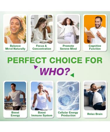 L-Tyrosine Gummies for Adults and Kids - 1000mg L-Tyrosine Supplement Focus Gummies for Brain, Mood, Energy Support, Vegan & Gluten-Free, Mango Flavor, 120 Count 60 Count (Pack of 2) - Buy Online on GoSupps.com