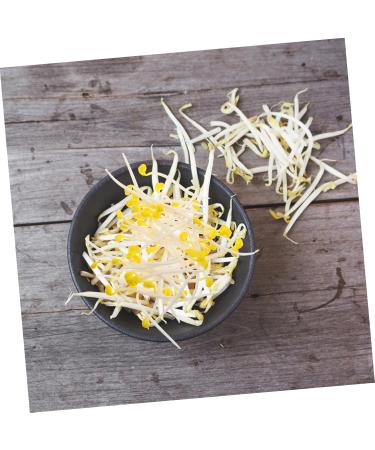 Alipis 200 Pcs Bean Sprouts Toy Bean Sprout Prop Faux Veggies Plastic Models Stress Reliever PVC Fake Food Assorted Color1x4pcs 10X5CMx4pcs - Buy Online on GoSupps.com