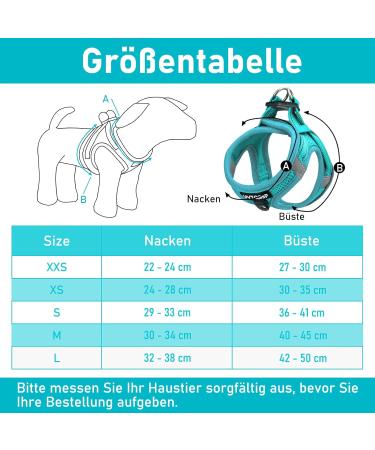 UVTQSSP Lightweight Dog Harness for Small Dogs - Padded XS Puppy Harness with Leash - Light Blue - Buy Online on GoSupps.com