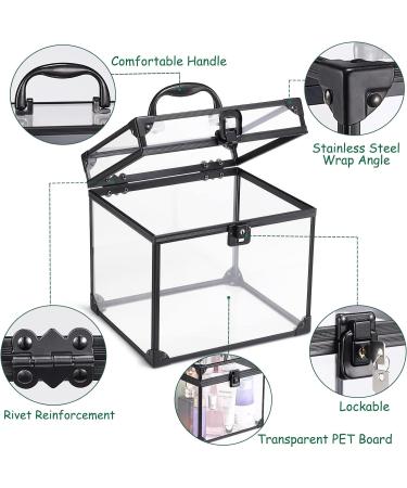Noverlife Portable Clear Train Case for Cosmetics & Toiletries - Travel Makeup Organizer with Latches & Handle - Professional Storage Box for Makeup Tools and Bathroom Accessories - Buy Online on GoSupps.com