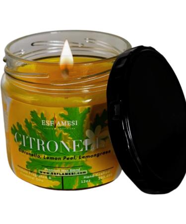Handmade Citronella Scented Candles - Strongly Scented Outdoor Aromatherapy - USA Made (12 oz - Buy Online on GoSupps.com
