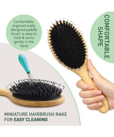 Natural Boar Bristle Hair Brush for Women, Men, Kids - Gently Enhances Shine, Smooths Frizz, Prevents Breakage - Ideal for Fine, Straight, Thick, Curly Hair - Oval Design - 1 Count - Buy Online on GoSupps.com