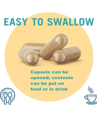 Houston Enzymes AFP Peptizyde - 90 Capsules for Digestive Support - Buy Online on GoSupps.com