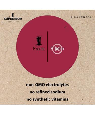 Superieur Electrolyte Powder Packets - Vegan Hydration Powder with Sea Minerals - Keto Friendly, Non-GMO, Zero Sugar Supplement - Raspberry Flavor (14 Packets) - Buy Online on GoSupps.com