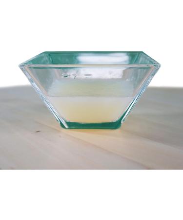 CDVet Insectovet 5L - Natural Flea & Mosquito Defense | Long-Lasting Gentle on Fur & Skin | Eco-Friendly Protection - Buy Online on GoSupps.com