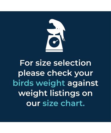 BEVs Bird Boutique - Pretty Flamingo 8: Stylish and Unique Bird Accessory - Buy Online on GoSupps.com