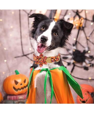 Buy Aring Pet Halloween Dog Halison - Sweet Orange Flower Design Adjustable Cotton Collars for All Dog Sizes (X-Large) - Buy Online on GoSupps.com