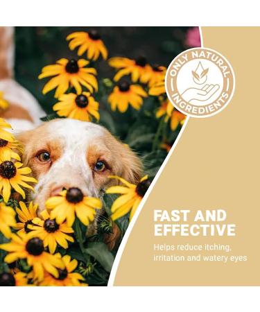 Pets Purest All Itch and Immunity Support Supplement Drops 50ml - Natural Skin Aid for Dogs & Cats - Paw Licking, Itchy Ears, Irritation, Watery Eyes - Buy Online on GoSupps.com
