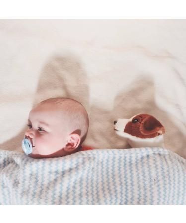 Tommee Tippee Every Day Pacifiers Symmetrical Design BPA-Free Silicone Binkies 0-6m 2-Count Colors and Designs Vary - Buy Online on GoSupps.com