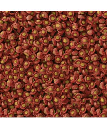 Sera Koi Professional Spring/Autumn Fish Feed 500g - Easily Digestible Immune Support Optimal for Winter Prep - International Shipping Available - Buy Online on GoSupps.com