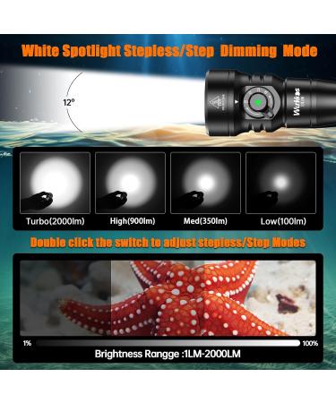 Wurkkos DL08 Dive Light 3600 Lumens Rechargeable Scuba Underwater Lights with Red and UV Light - IP68 Underwater Video with Infinite Brightness Adjustment and 5000mAh Battery for Night Diving - Buy Online on GoSupps.com