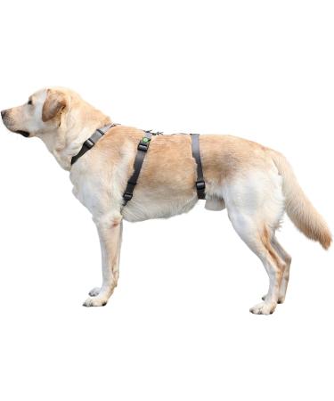 Kerbl 80040 Escape-Proof Panic Harness - Grey 38-52cm | International Shipping Available - Buy Online on GoSupps.com