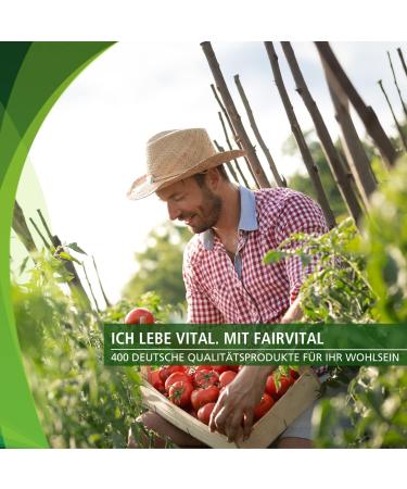 Fairvital Lycopin Kapseln mit Vitamin E 25mg Lycopin VEGAN 90 Mikroverkapselte Kapseln f r optimale Gesundheit - Buy Online on GoSupps.com