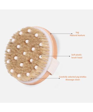 3 Pack Bath Dry Brush Set for Body Exfoliation & Shower Massage - Natural Soft and Stiff Bristles with Long Handle and Pumice Brush Included - Buy Online on GoSupps.com