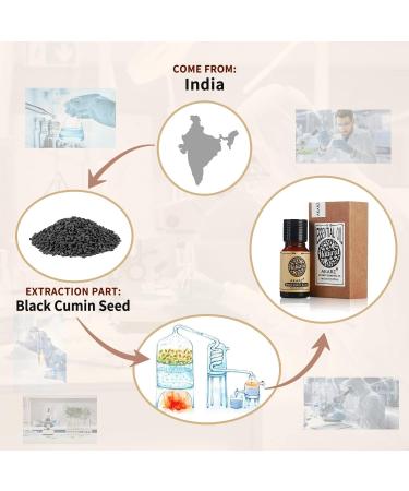 Organic Black Cumin Oil - Pure Premium Essential Oil for Skin Hair & Massage | Akarz Natural 10ml - Buy Online on GoSupps.com