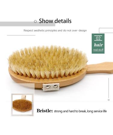 Premium Long Stem Back Brush with 2 Brush Heads - Natural Bristles Body Peeling Shower Brush for Dry Skin & Bathing - Removable Handle for Easy Use - Buy Online on GoSupps.com