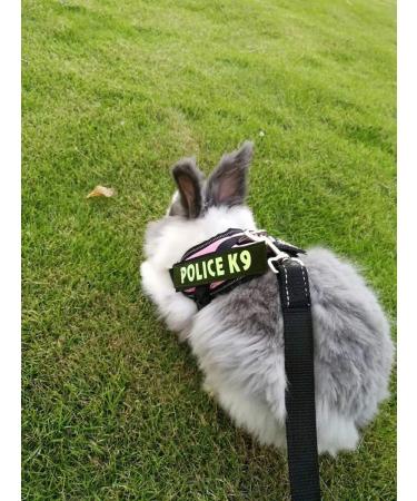Vehomy Pink Rabbit Harness & Leash for Rabbits Cats & Small Animals - Ideal for International Shipping - Buy Online on GoSupps.com