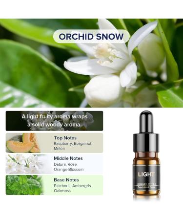 Ceeniu Essential Oils Set - 3 Pack Car Diffuser Refills (12ml) | Pure Cologne Lavender Dream Orchid Snow - 3 Months of Aromatherapy - Buy Online on GoSupps.com