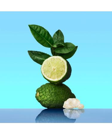 Calvin Klein CK One 250 ml (Pack of 1) - Buy Online on GoSupps.com