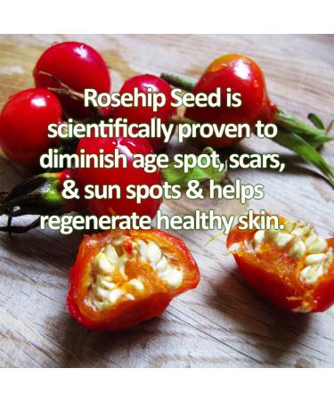 GLIMMER GODDESS Organic Retinol Wrinkle Repair Face and Neck Cream 2 oz - Buy Online on GoSupps.com