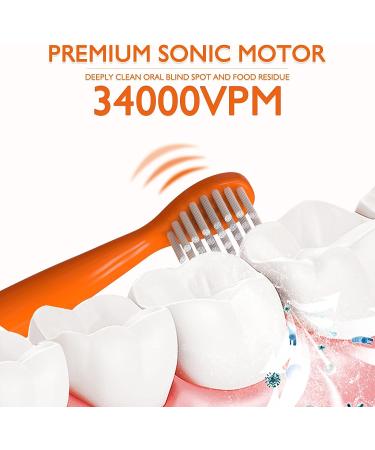 CHAIN PEAK Dinosaur Kids Sonic Electric Toothbrush for Children 3-12 | 30s Reminder, 2 Mins Timer, 5 Modes | 8 Brush Heads, Rechargeable | Orange | Wall-Mounted Holder - Buy Online on GoSupps.com
