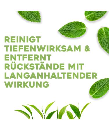 OGX Tea Tree Mint Extra Strength Conditioner 385ml - Nourishing Hair Care with Tea Tree Oil Mint & Hamamelis for Refreshing Curls & Balanced pH - Buy Online on GoSupps.com