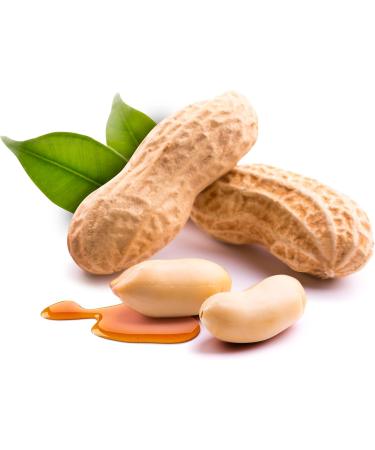 German Mr. Tom Seriously Nutty Peanut Bars 36x40g - Premium Snack for Nut Lovers - Buy Online on GoSupps.com