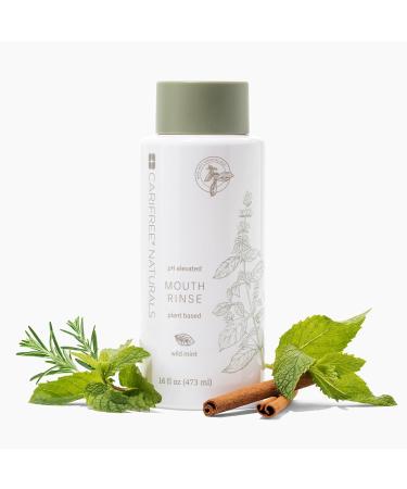 CariFree Naturals Mouth Rinse pH Elevated with Magnolia Bark & Essential Oils Organic Ingredients Alcohol-Free - Wild Mint - 16 Fl Oz - Buy Online on GoSupps.com