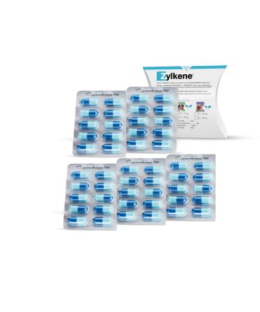 Zylkene 450mg 50 capsules (5 x 10 capsules) supplementary feed for dogs and cats that helps to deal with fear and stressful situations. - Buy Online on GoSupps.com