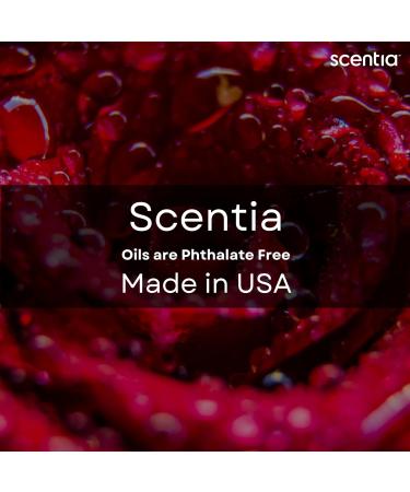 Love Collection Fragrance Oil Set Essential Oil Blends for Diffusers Candles & Soaps Jasmine Rose Citrus Amber & Musk Made in USA Phthalate-Free Holiday Gift Set 3 20 ml (2.03 fl oz) 8. Love Collection 3x20ml  - Buy Online on GoSupps.com