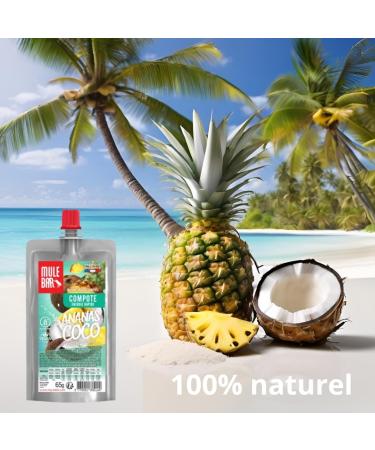 Mulebar - Compote Energ tique Sport - Pineapple Coconut - 65g - Vegan - Gluten Free - Refermable - Made in France - Buy Online on GoSupps.com