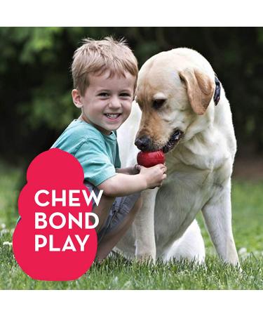 KONG Classic Dog Toy - Durable Natural Rubber for Chew, Chase, and Fetch | Large Size - Buy Online on GoSupps.com