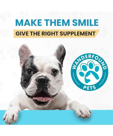 Wanderfound Pets 10-in-1 Dog Multivitamin with Glucosamine  D3  MSM - 60 Chewable Tablets - Buy Online on GoSupps.com