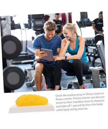 ULTECHNOVO 2pcs Fat Model Plastic Demonstration Device Plastic Anatomical Fat Birthday Headband Body Fat Module - Buy Online on GoSupps.com