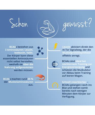 Vegavero BCAA Powder 400 g 56 servings Ratio 211 Vegan Mango flavor - Buy Online on GoSupps.com