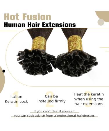 UGEAT Real Hair Balayage Extensions - Brown Chocolate Ombre U Tip Keratin 40 cm (16 inch) - 50g 50 Pieces #4/10/16 - Buy Online on GoSupps.com