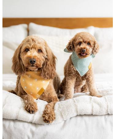 Remy+Roo Dog Bandanas - 4 Pack Kathrine Set | Premium Durable Fabric | Adjustable Fit | Unique Shape | Large Sizes Available - Buy Online on GoSupps.com