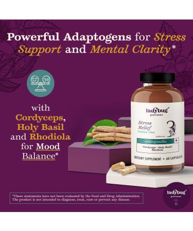 Organic Mood Pills 60Capsules 2Pack Organic Ashwagandha Supplements for Women and Men Ashwagandha Root Capsules with Cordyceps Holy Basil & Rhodiola Reduce Stress Boost Mood and Cognitive Function - Buy Online on GoSupps.com