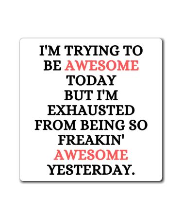 Funny Awesome Amazing Self-Motivations Inspirational Saying Humorous Motive Sayings Confident Uplifting Funny Magnets 4" 4"