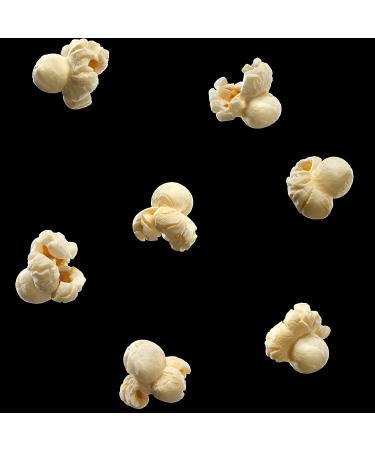Smartfood Popcorn White Cheddar 0.625oz Bags (10 Pack) - Delicious Snack Option - Buy Online on GoSupps.com