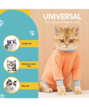 AVONT Cat Recovery Suit - Protective Alternative Surgical Spay Suit for Female Cats Gray Coral L - Ideal for Post-Operative Care & Skin Diseases - Buy Online on GoSupps.com
