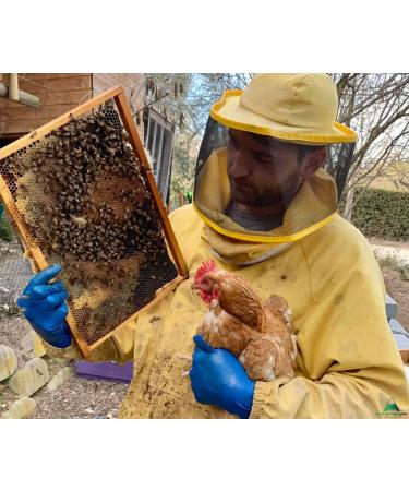  Apicoltura Il Riccio Pure Italian Bee Pollen from Marchigiano Territory - Strengthens Your Immune System with the Best Plant Source of Protein and Amino Acids - 100g - Buy Online on GoSupps.com