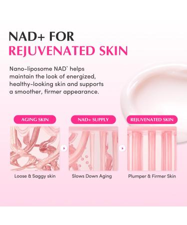 EQQUALBERRY NAD+ Peptide Boosting Cream Collagen-Enhancing Moisturizer for Skin Elasticity Healthy Aging&Wrinkle Care Korean Skincare Anti-Aging Face Cream with Peptides (1.69 fl.oz / 50ml) - Buy Online on GoSupps.com