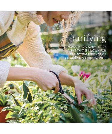 Now Foods Oregano Essential Oil 1 fl oz | Pure, Natural, Therapeutic Grade - Buy Online on GoSupps.com