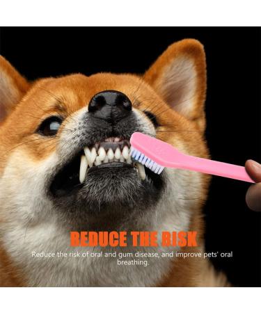 VANZACK 36 Pcs Double Head Dog Toothbrush Dog Toothbrush Toothpaste Cat Toothbrush Dog Oral Toothbrush Pp - Buy Online on GoSupps.com