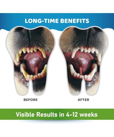 Dog Teeth Cleaning Powder - Plaque & Tartar Remover Fresh Breath - Dental Powder with Dog Probiotics - Easy Daily Use PhD-formulated - 2.82 oz (80g) - Buy Online on GoSupps.com