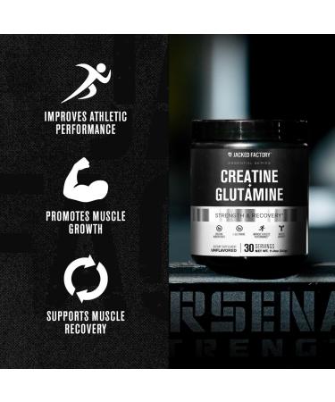 Jacked Factory Creatine + Glutamine - Creatine Supplement with L-Glutamine for Muscle Recovery Muscle Growth Increased Strength (30 Servings Unflavored & 30 Servings Blue Raspberry) - Buy Online on GoSupps.com