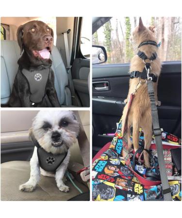Slowton XS Dog Harness with Safety Belt for Car - Breathable Latex Network Ideal for Everyday Sports - Dark Gray - Buy Online on GoSupps.com